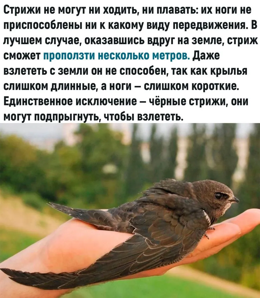 Это интересно!