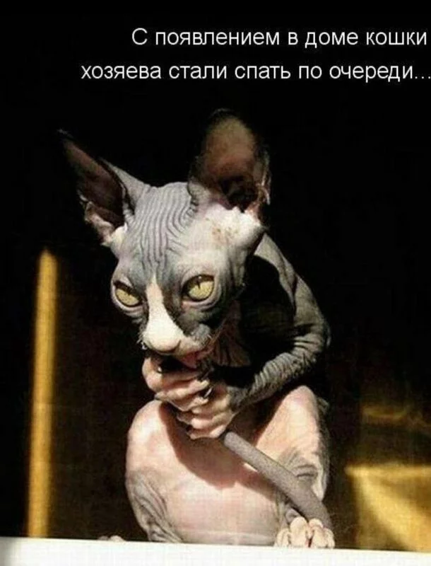 Посмеялся сам - поделись с другом!!!