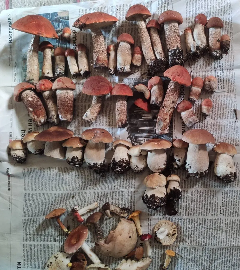 Суп с баклажанами