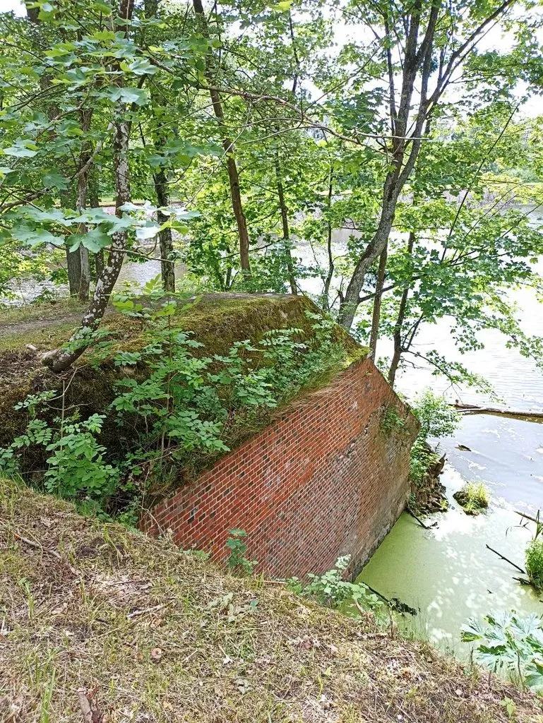 Калининградская область (не только море и янтарь) 
