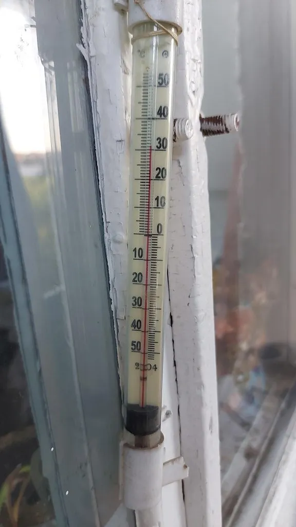 Tapтaлeтки & Ко