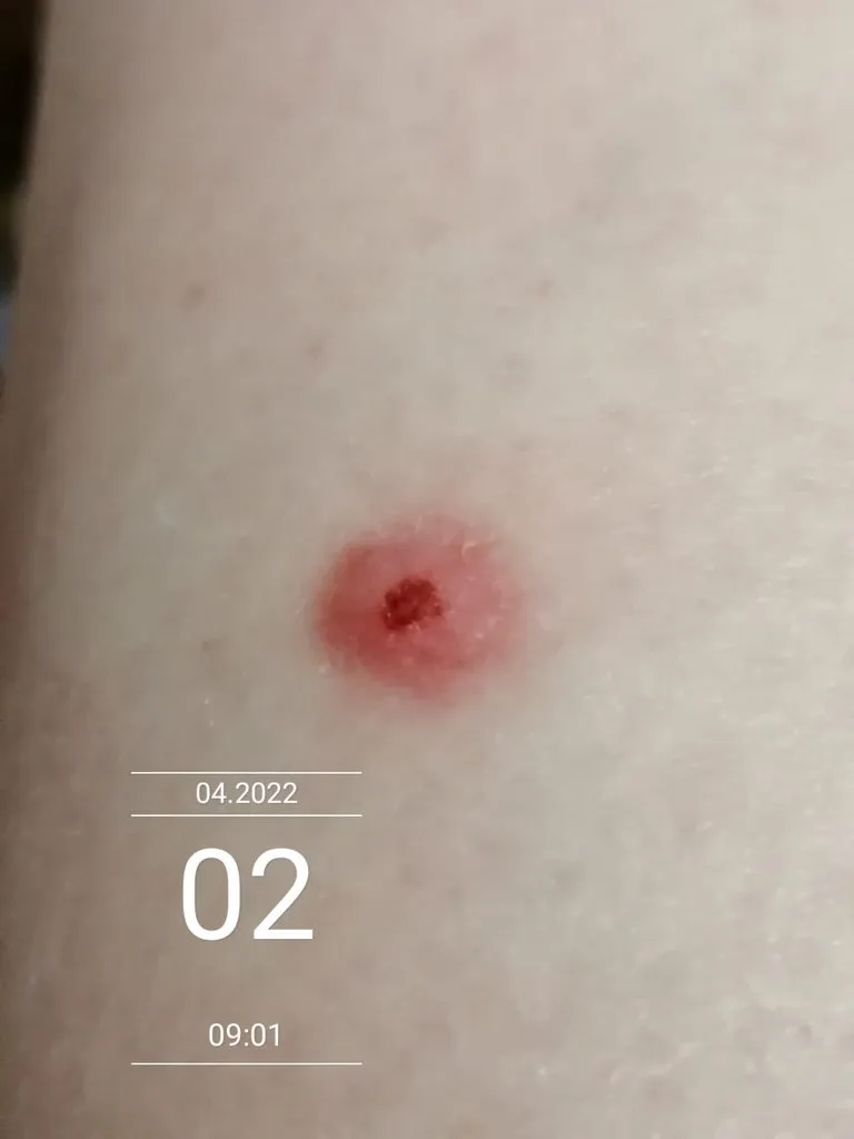 Чайная беседка