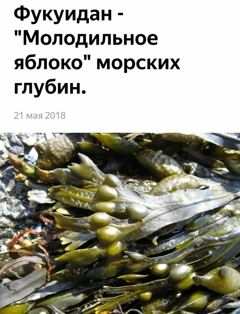 Greenway (Гринвэй)