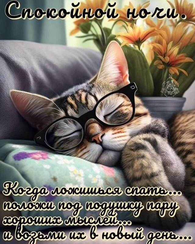 Кафе "У пани Сони"