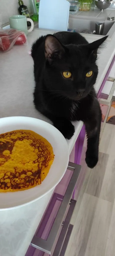 Tapтaлeтки & Ко