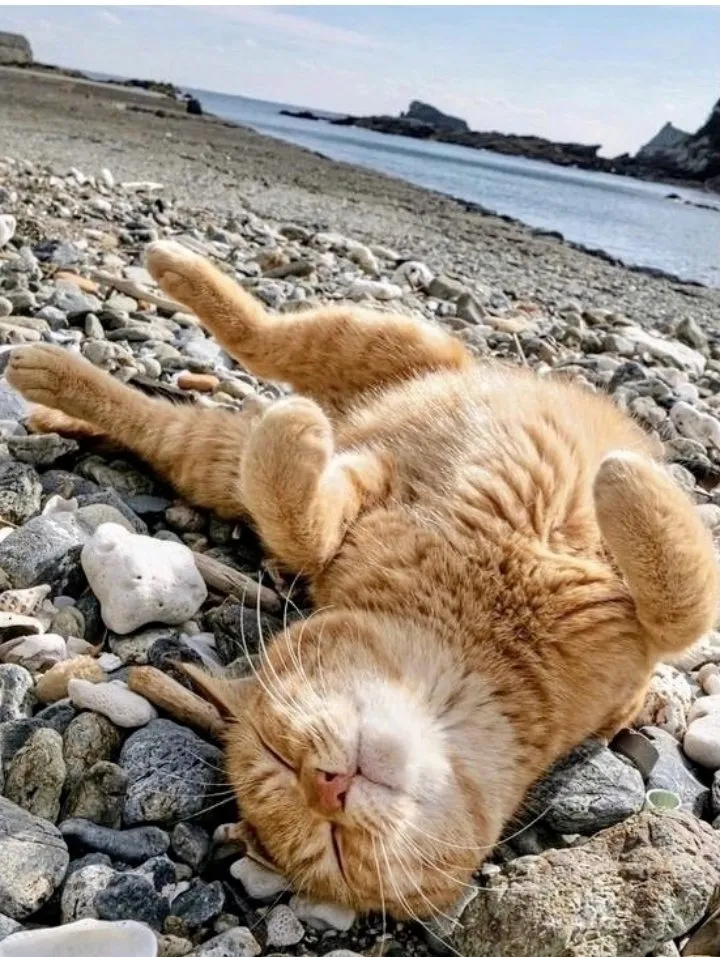 Посмеялся сам - поделись с другом!!!