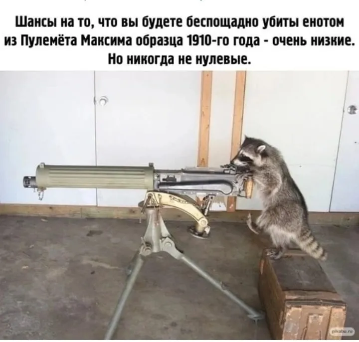 Позитивчик (фото, видео, рассказы для хорошего настроения)
