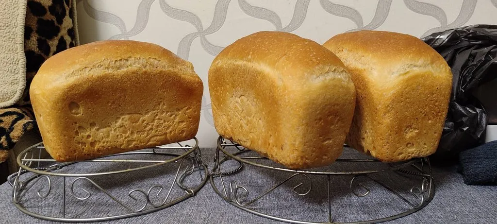 "Вечные дрожжи", картофельно-хмелевые (Закваска без муки). Рецепты выпечки.