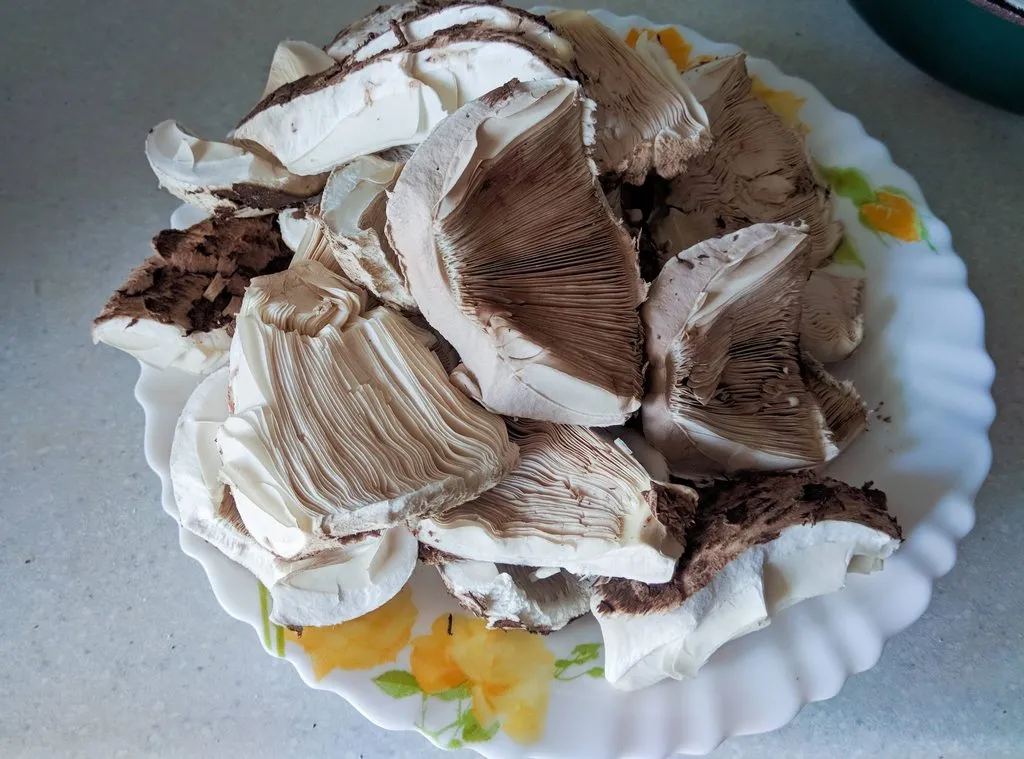 По грибы с лукошком