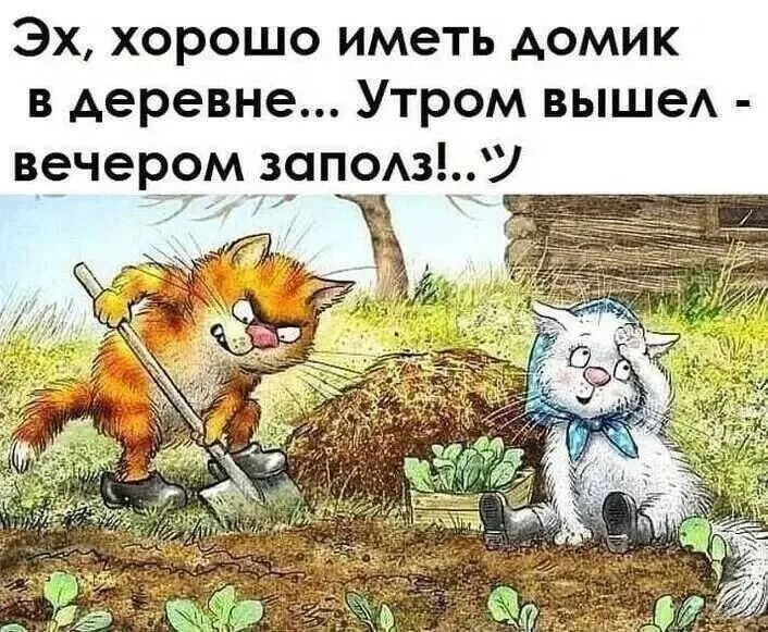Кафе "У пани Сони"