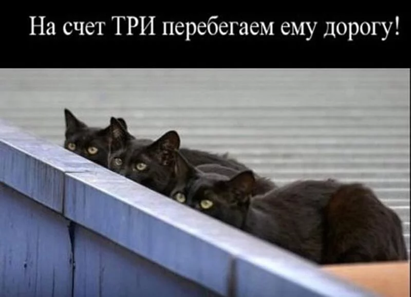 Посмеялся сам - поделись с другом!!!