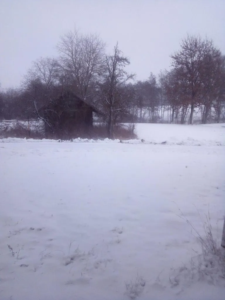 Кафе «У пани Сони»