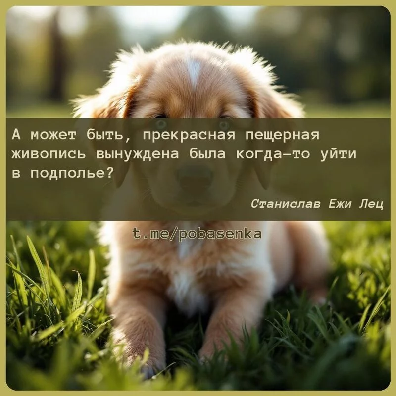 «А может быть, прекрасная пещерная живопись вынуждена была когда то уйти в...» height="550" width="550"