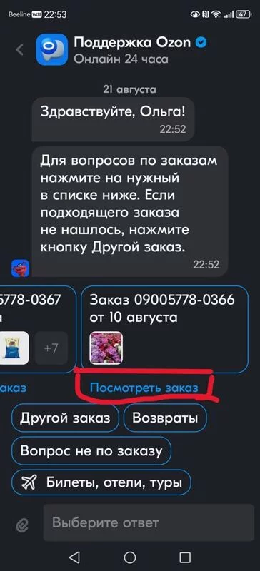 Что происходит с Ozon?