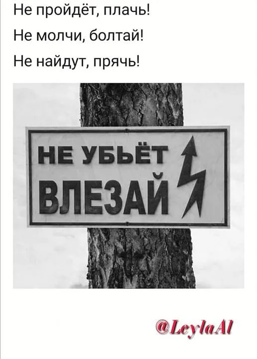 Всюду рифмы