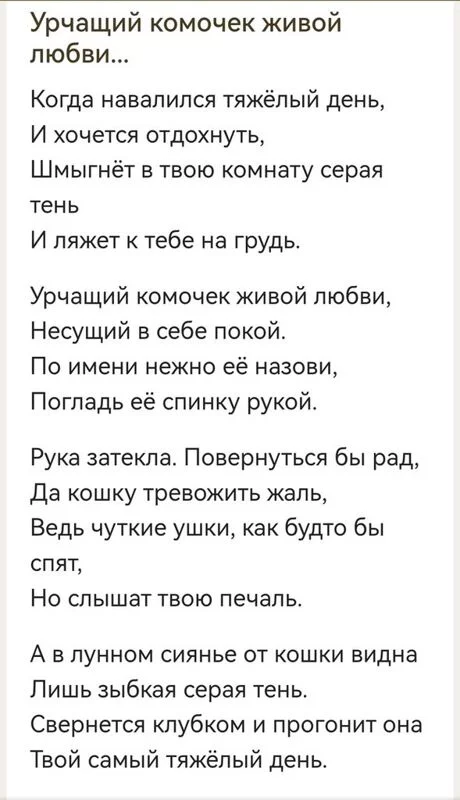 Кто сказал "Мяу"?