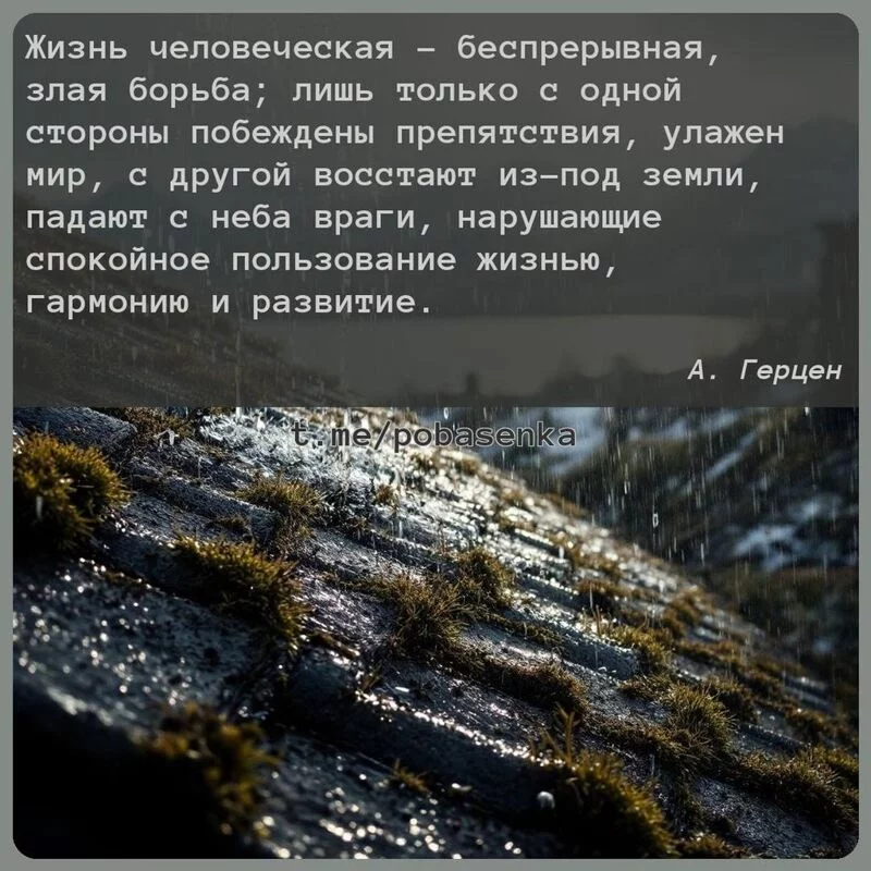 «Жизнь человеческая беспрерывная, злая борьба; лишь только с одной стороны побеждены препятствия, улажен мир, с другой...» height="550" width="550"