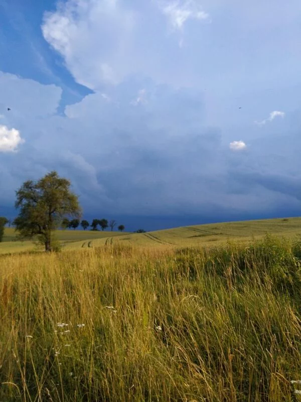 Такое разное небо