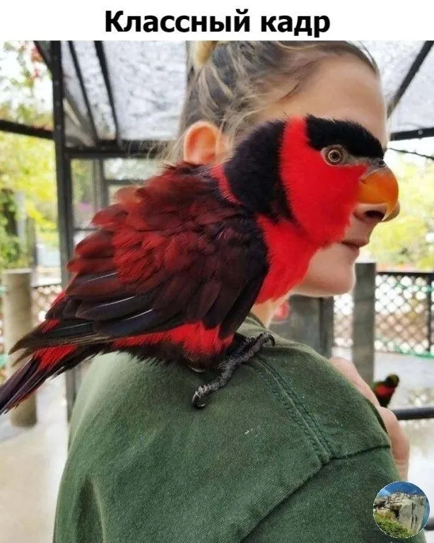 Посмеялся сам - поделись с другом!!!