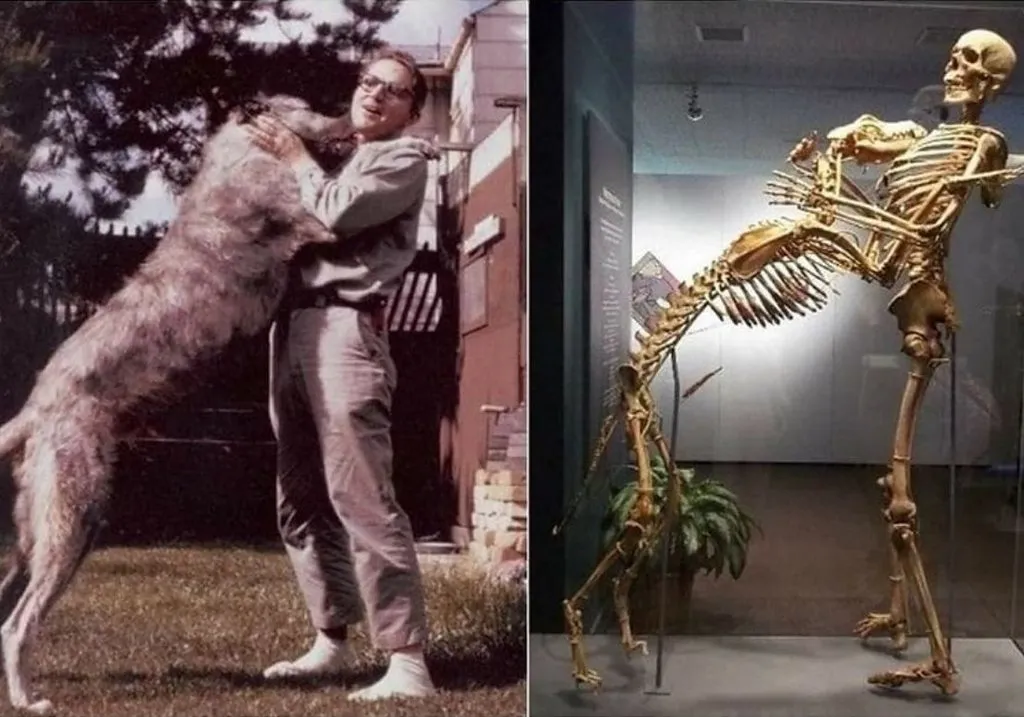 Запечатленная история