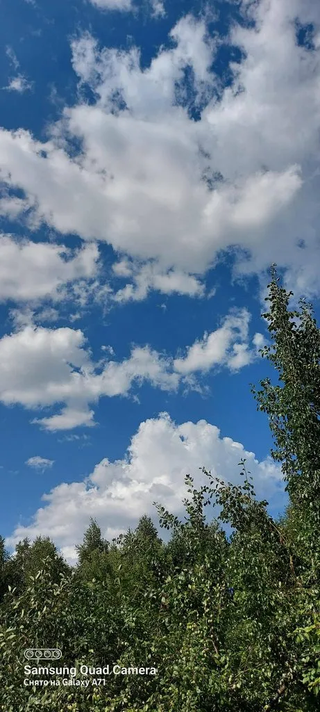 Чайная беседка