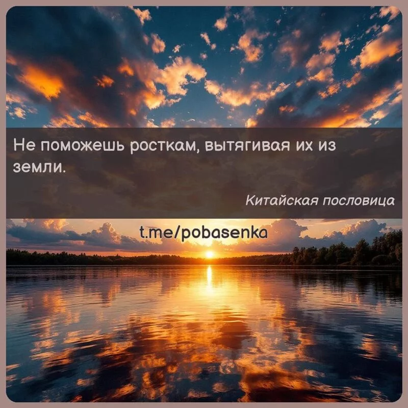 «Не поможешь росткам, вытягивая их из...» height="550" width="550"