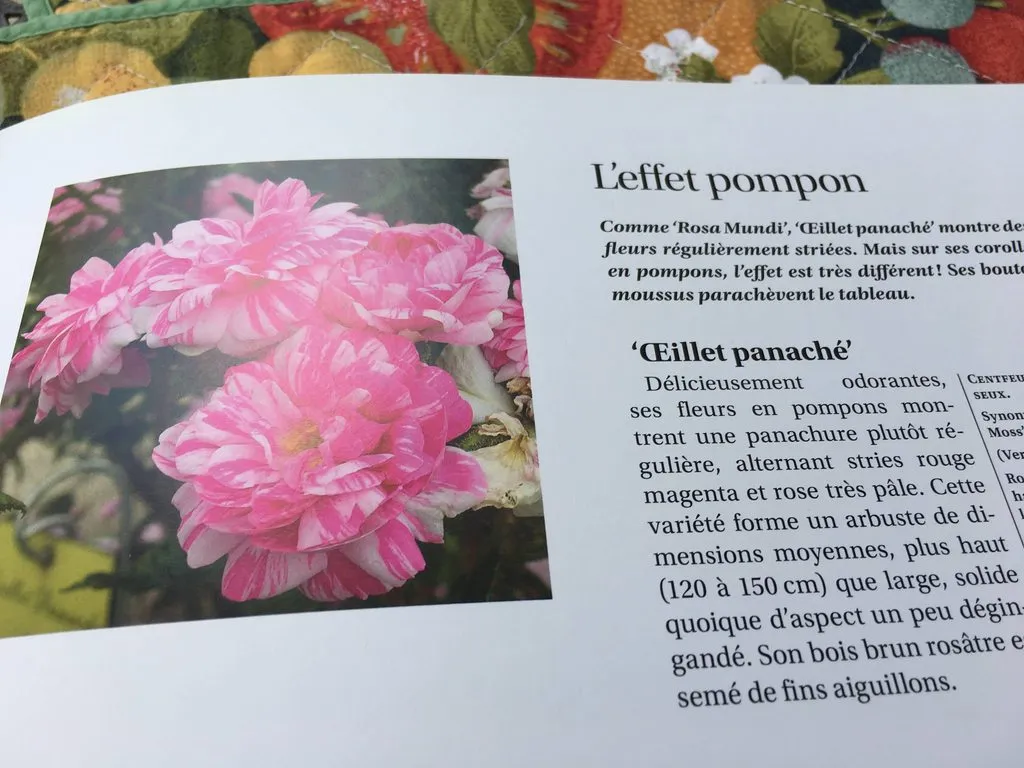 Чайная беседка