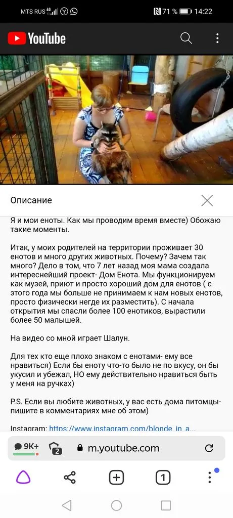 Эти забавные животные