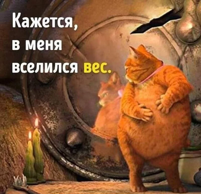 Посмеялся сам - поделись с другом!!!