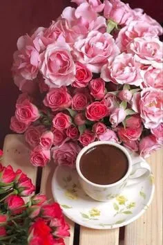 Чайная беседка