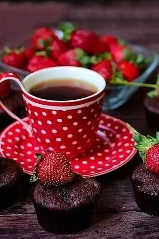 Tapтaлeтки & Ко