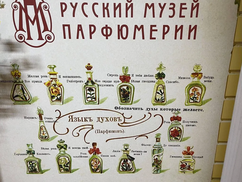 Tapтaлeтки & Ко