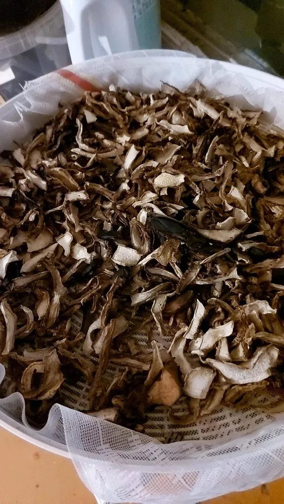 Tapтaлeтки & Ко