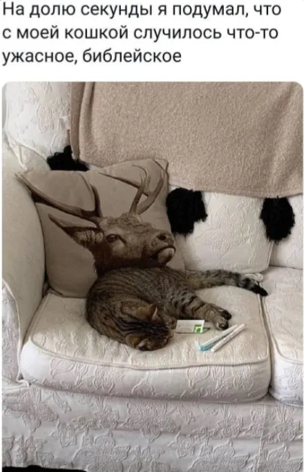 Посмеялся сам - поделись с другом!!!