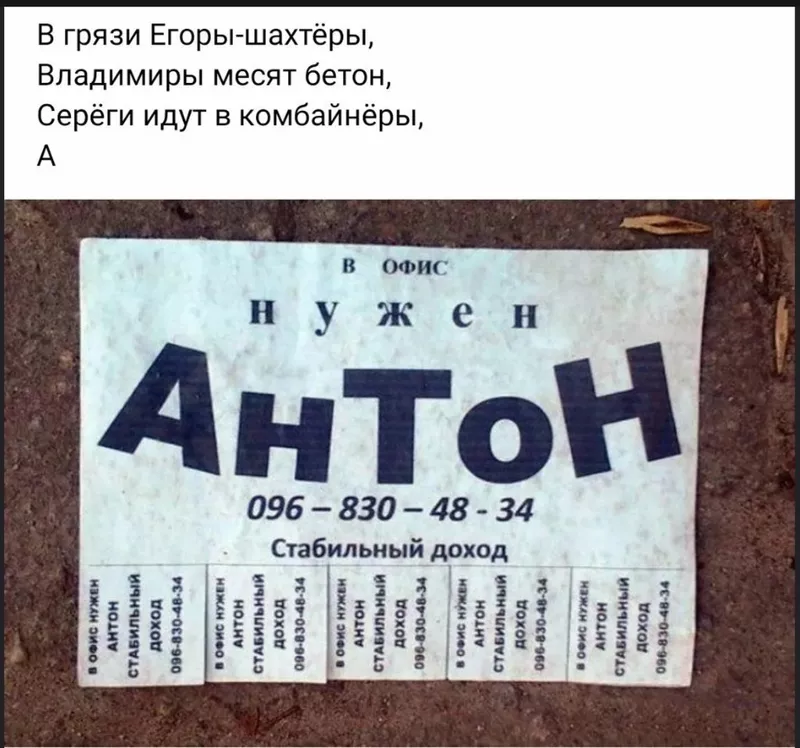 Всюду рифмы