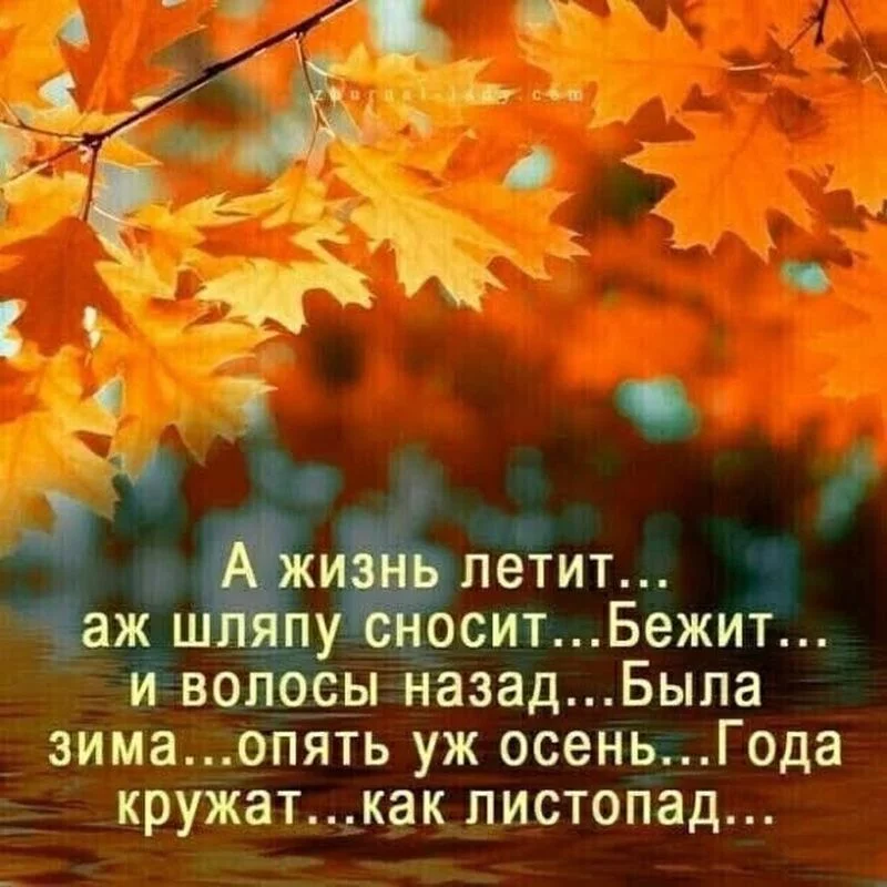 Позитивчик (фото, видео, рассказы для хорошего настроения)