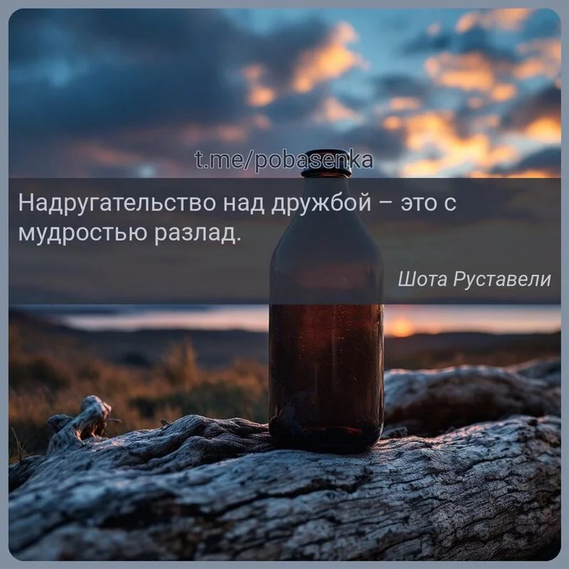 «Надругательство над дружбой это с мудростью...» height="550" width="550"