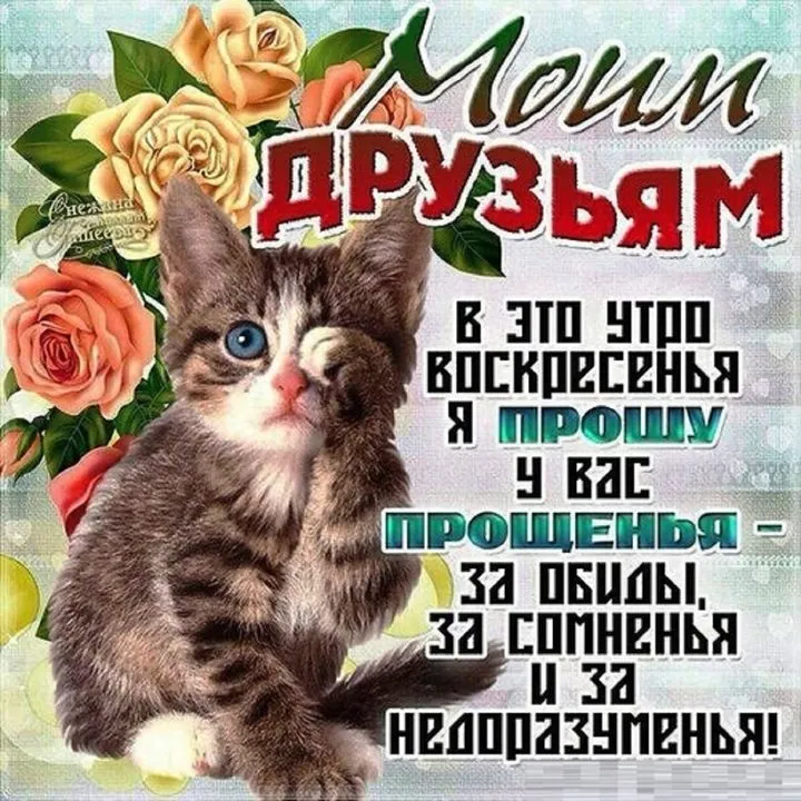 Кафе «У пани Сони»