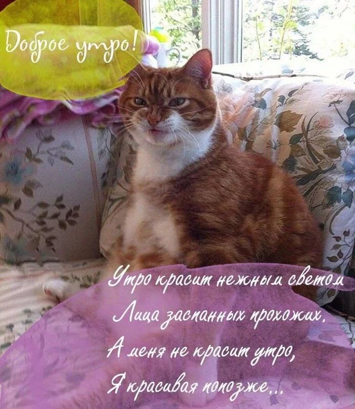 Посмеялся сам - поделись с другом!!!