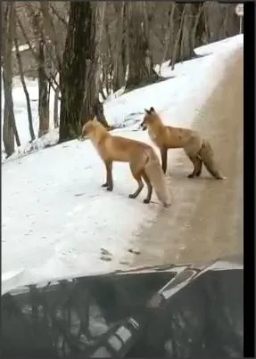 Коломенское