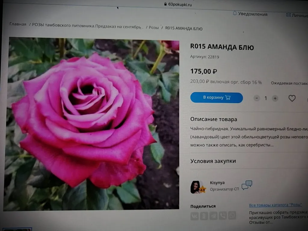 Цветы на моем участке (2022 г.)