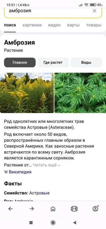 Чайная беседка