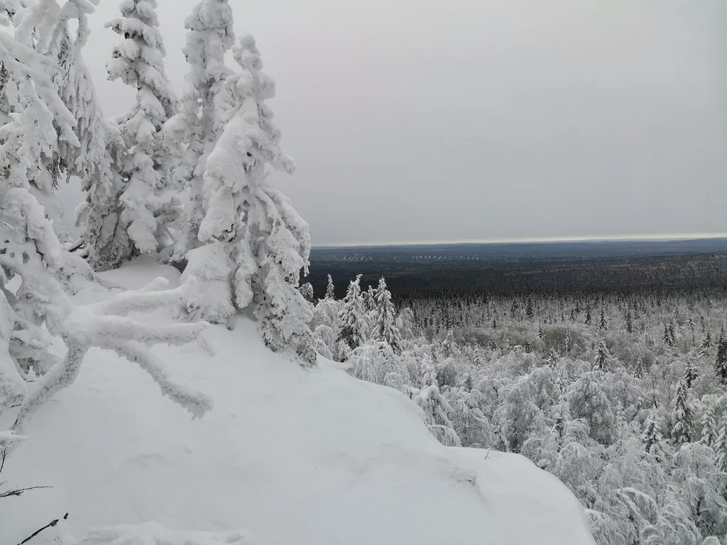 Такое разное небо
