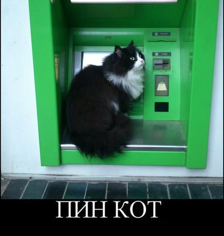 Посмеялся сам - поделись с другом!!!