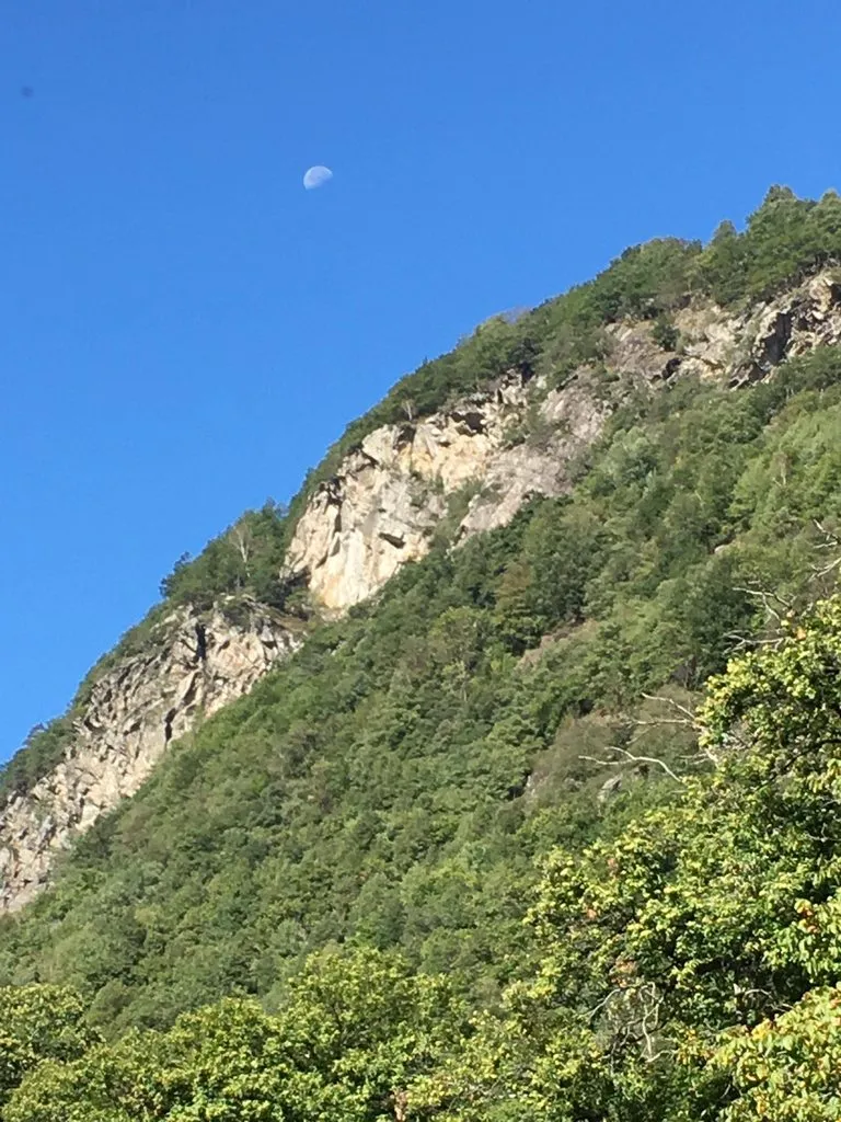 Чайная беседка