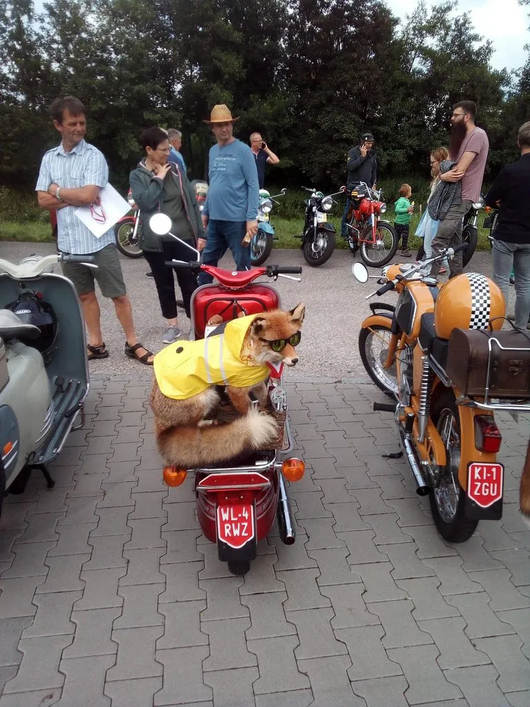 Чайная беседка