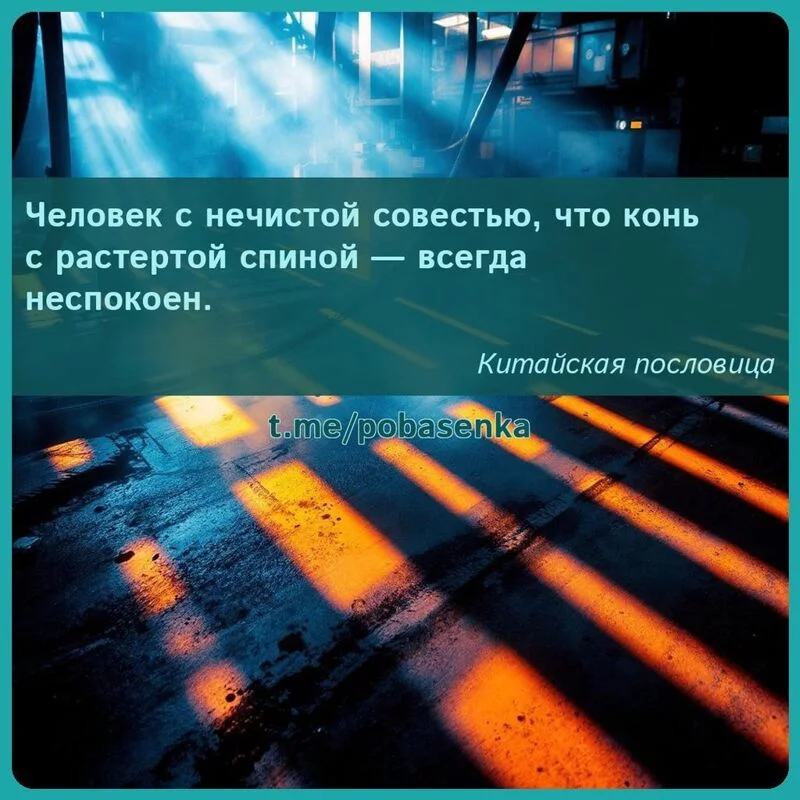 «Человек с нечистой совестью, что конь с растертой спиной — всегда...» height="550" width="550"