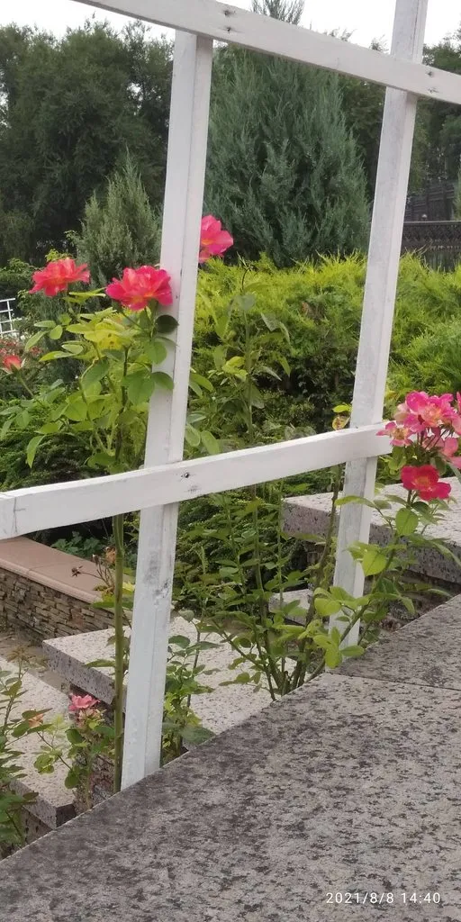 Tapтaлeтки & Ко