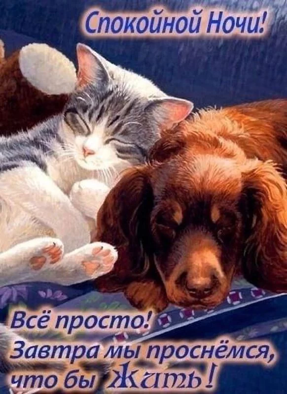 Кафе "У пани Сони"