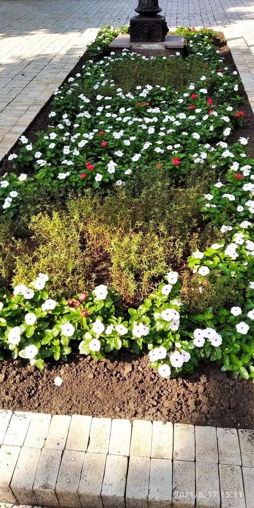 Tapтaлeтки & Ко